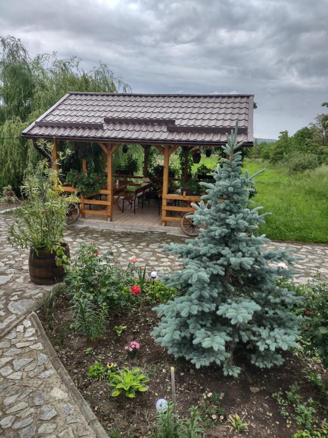 Pensiunea Codruta Cărpinişu Exterior foto