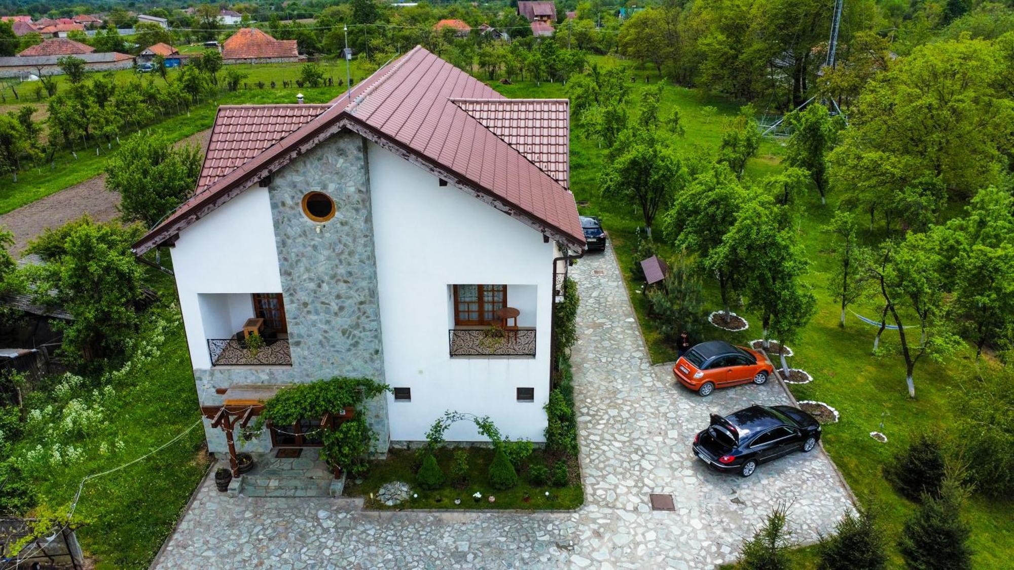 Pensiunea Codruta Cărpinişu Exterior foto