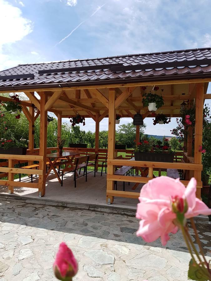Pensiunea Codruta Cărpinişu Exterior foto